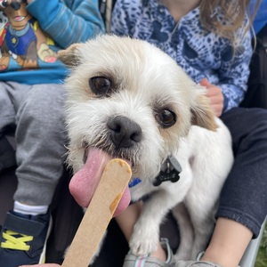 Fundraising Page: Alyssa Longo